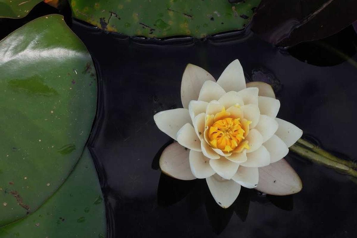 Photo 2